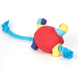 Cubism Crab on a Rope